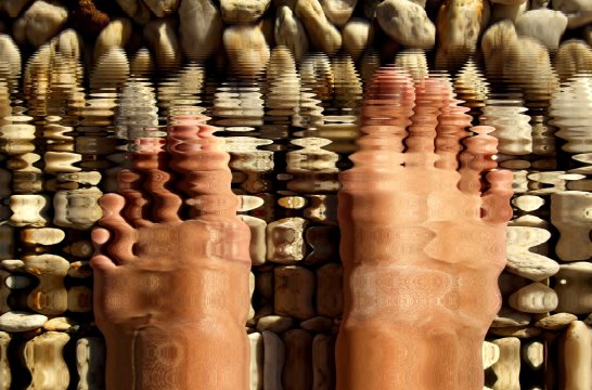 Reiztherapien und ausleitende Verfahren 