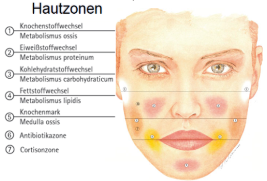 Zungen-, Antlitz- und Pulsdiagnostik 