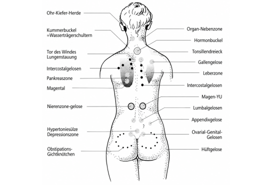 Reflexzonendiagnostik 